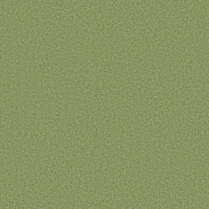 Shaw Floors The Bright Side — Four Leaf Clover · 5E894-00335 — flooring selection with LeviArs Design & Remodeling