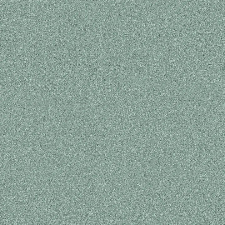 Shaw Floors The Bright Side — Happy Go Lucky · 5E894-00305 — flooring selection with LeviArs Design & Remodeling