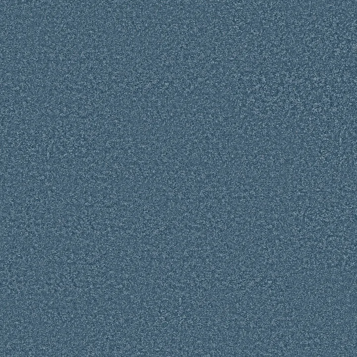 Shaw Floors The Bright Side — Shooting Star · 5E894-00455 — flooring selection with LeviArs Design & Remodeling