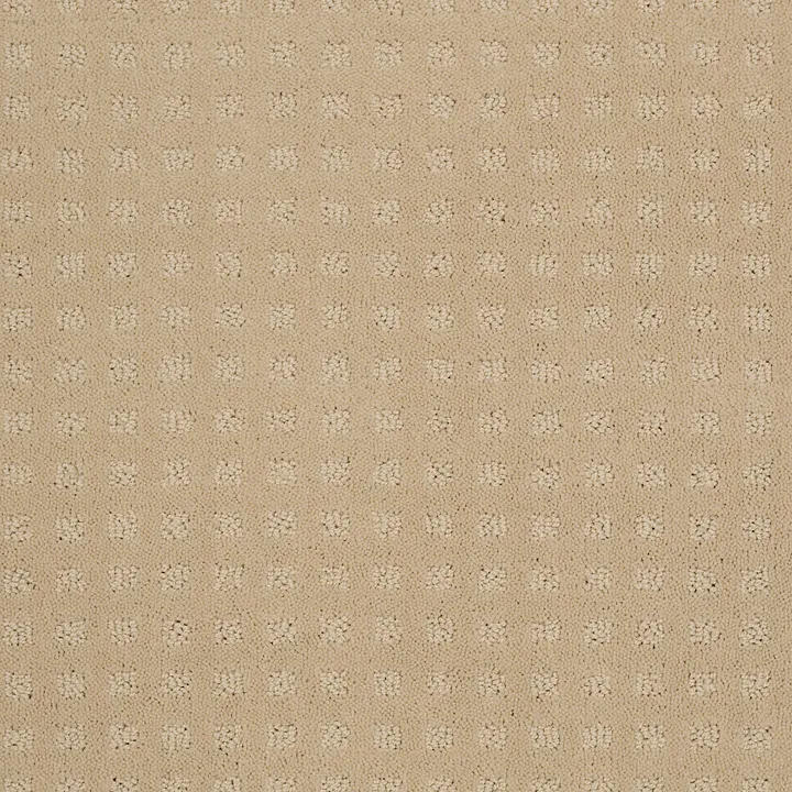 Shaw Floors The Fair — Abalone · EA023-00101 — flooring selection with LeviArs Design & Remodeling
