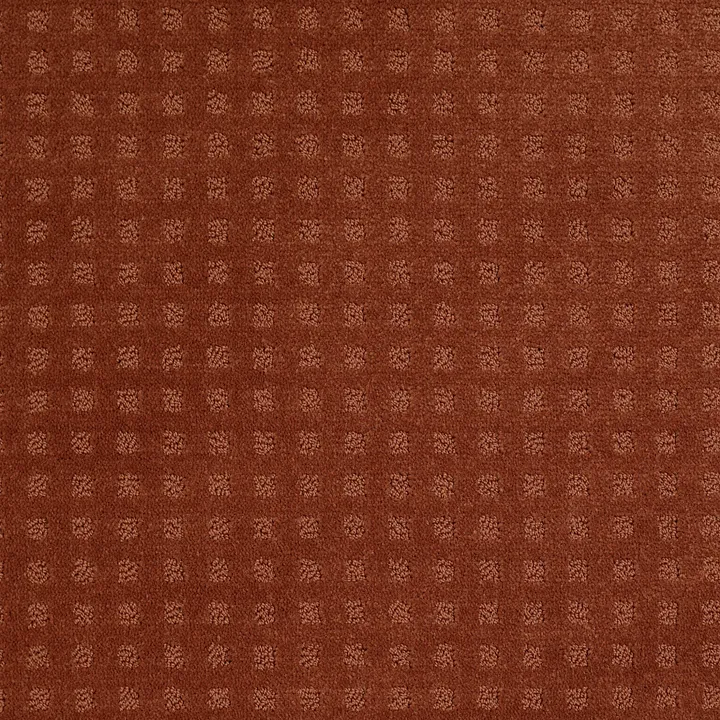 Shaw Floors The Fair — Aged Copper · EA023-00600 — flooring selection with LeviArs Design & Remodeling