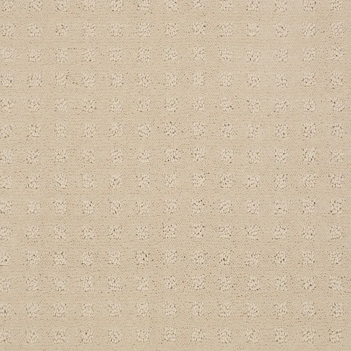 Shaw Floors The Fair — Airy White · EA023-00100 — flooring selection with LeviArs Design & Remodeling