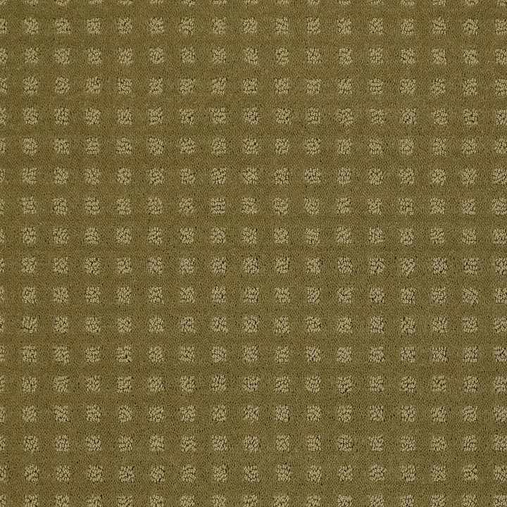 Shaw Floors The Fair — Aloe · EA023-00300 — flooring selection with LeviArs Design & Remodeling