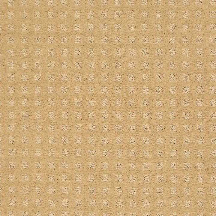 Shaw Floors The Fair — Butter Cream · EA023-00200 — flooring selection with LeviArs Design & Remodeling