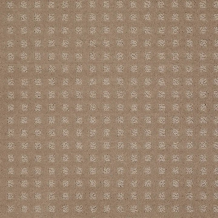 Shaw Floors The Fair — Chameleon · EA023-00104 — flooring selection with LeviArs Design & Remodeling
