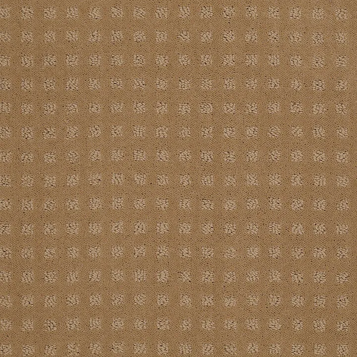 Shaw Floors The Fair — Field Stone · EA023-00701 — flooring selection with LeviArs Design & Remodeling