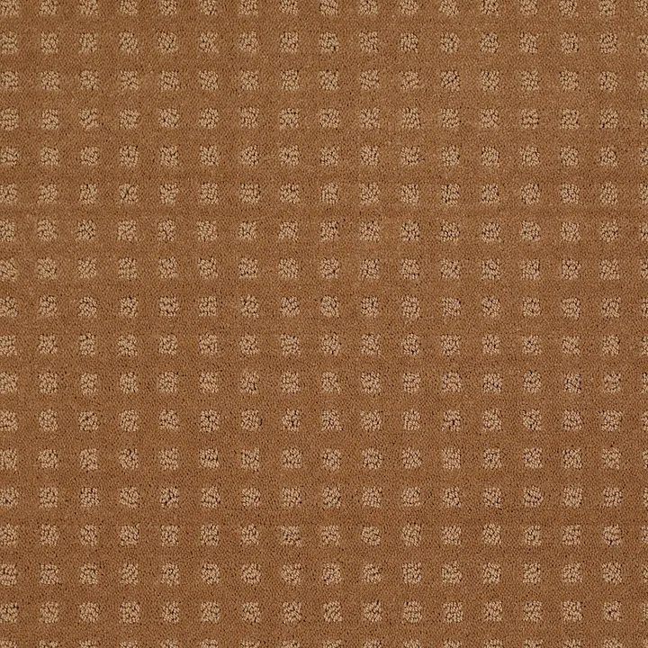 Shaw Floors The Fair — Gold Coin · EA023-00202 — flooring selection with LeviArs Design & Remodeling