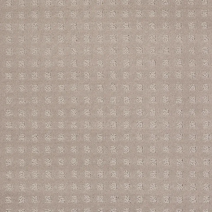 Shaw Floors The Fair — Grey Dove · EA023-00500 — flooring selection with LeviArs Design & Remodeling