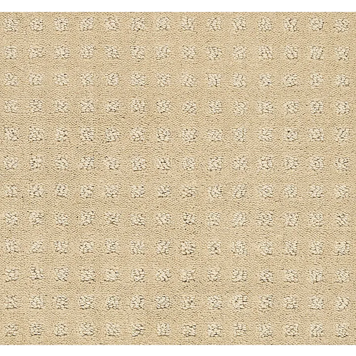 Shaw Floors The Fair — Honeycomb · EA023-00142 — flooring selection with LeviArs Design & Remodeling