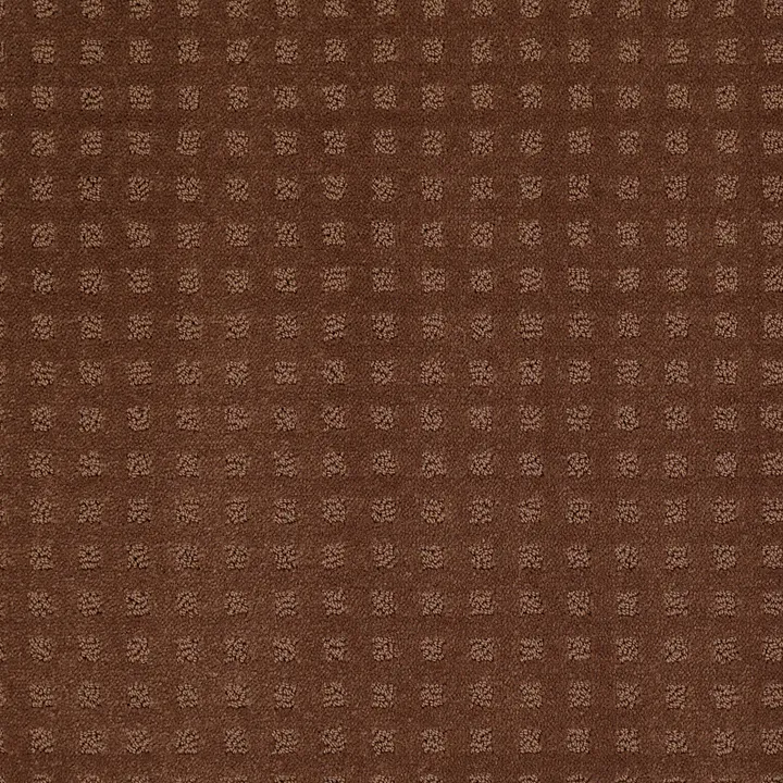 Shaw Floors The Fair — Mocha Chip · EA023-00706 — flooring selection with LeviArs Design & Remodeling