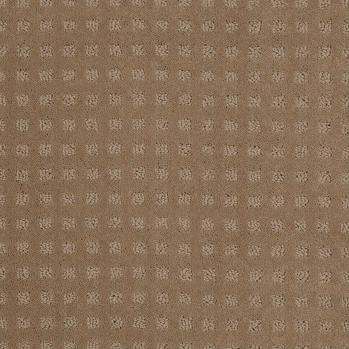 Shaw Floors The Fair — Perfect Beige · EA023-00703 — flooring selection with LeviArs Design & Remodeling