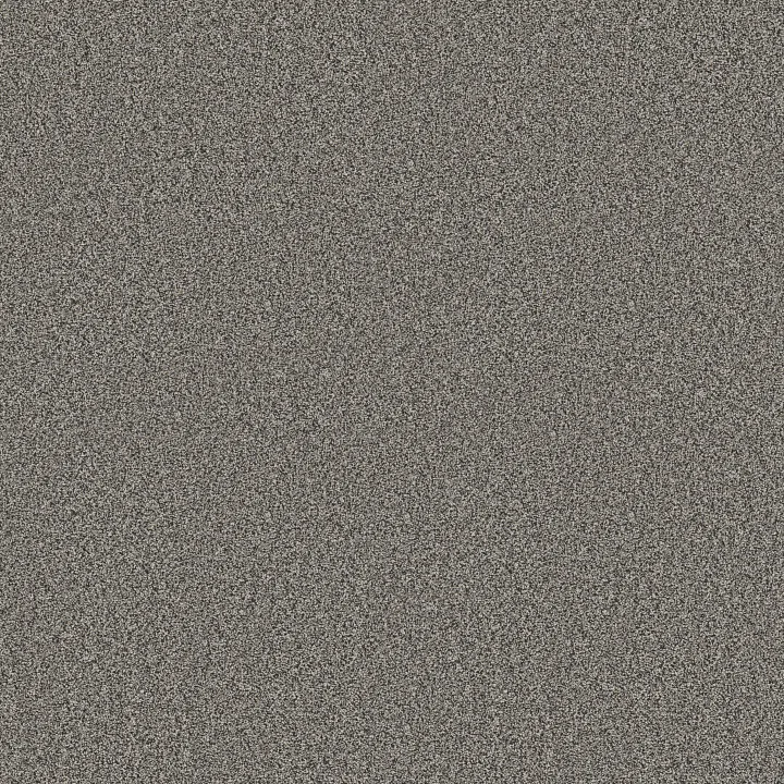 Shaw Floors Timeless Tone — After Dark · 5E916-00706 — flooring selection with LeviArs Design & Remodeling