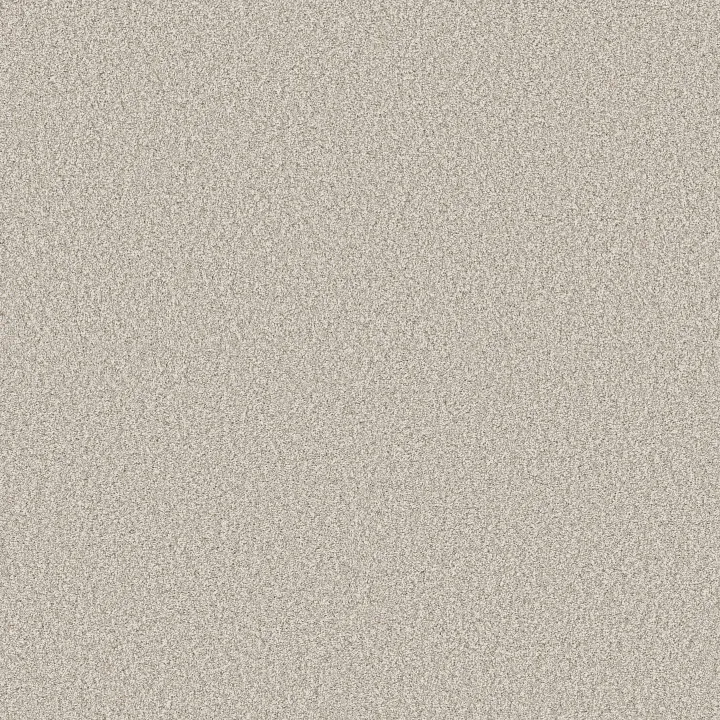 Shaw Floors Timeless Tone — Alpine Snow · 5E916-00150 — flooring selection with LeviArs Design & Remodeling