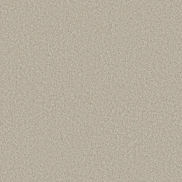 Shaw Floors Timeless Tone — Baja · 5E916-00106 — flooring selection with LeviArs Design & Remodeling