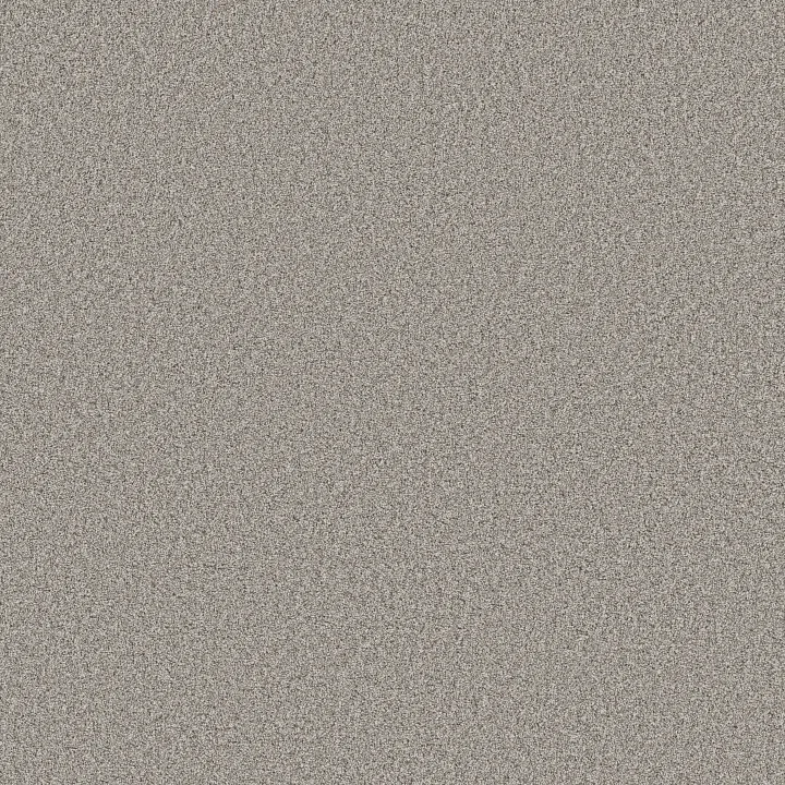Shaw Floors Timeless Tone Blue — Magnetic · 5E937-00502 — flooring selection with LeviArs Design & Remodeling