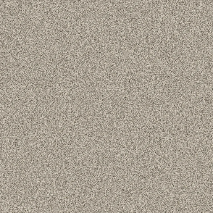 Shaw Floors Timeless Tone Blue — Summertime · 5E937-00102 — flooring selection with LeviArs Design & Remodeling