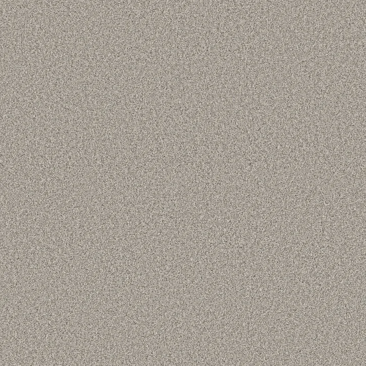 Shaw Floors Timeless Tone Blue — Twilight Taupe · 5E937-00109 — flooring selection with LeviArs Design & Remodeling