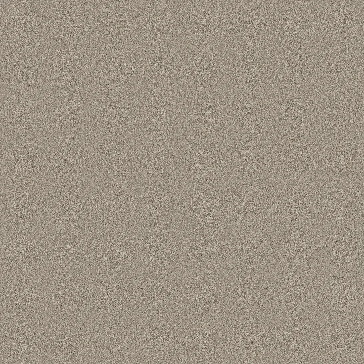 Shaw Floors Timeless Tone — Chateau · 5E916-00108 — flooring selection with LeviArs Design & Remodeling