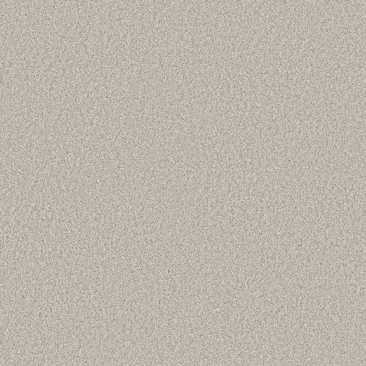 Shaw Floors Timeless Tone — Cool Winter · 5E916-00107 — flooring selection with LeviArs Design & Remodeling