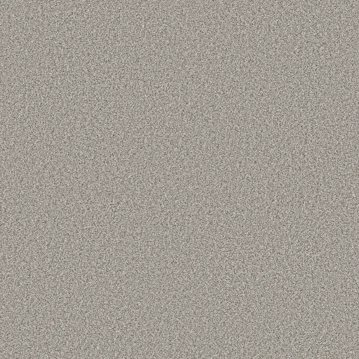 Shaw Floors Timeless Tone Blue — Distant Star · 5E937-00501 — flooring selection with LeviArs Design & Remodeling