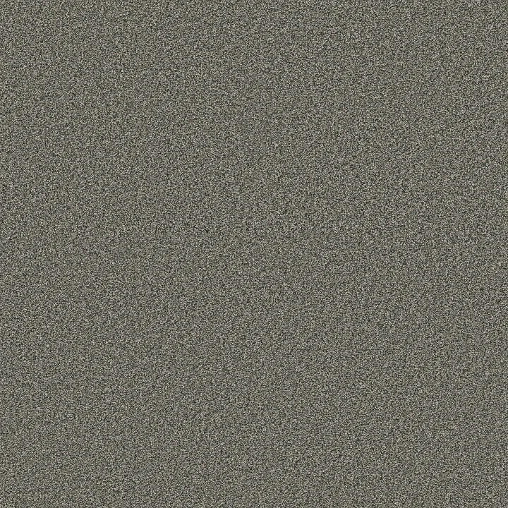 Shaw Floors Timeless Tone Blue — Evergreen · 5E937-00302 — flooring selection with LeviArs Design & Remodeling