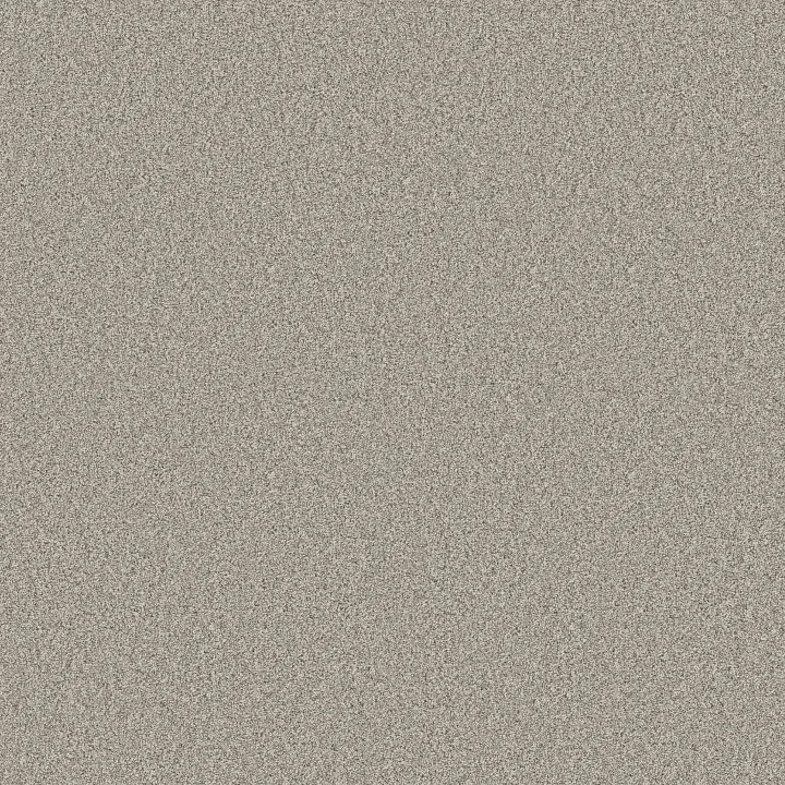 Shaw Floors Timeless Tone Blue — Frosted Sage · 5E937-00320 — flooring selection with LeviArs Design & Remodeling