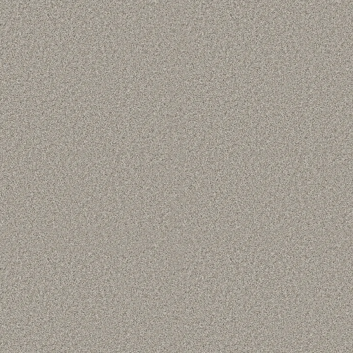 Shaw Floors Timeless Tone Blue — Icy Mist · 5E937-00450 — flooring selection with LeviArs Design & Remodeling
