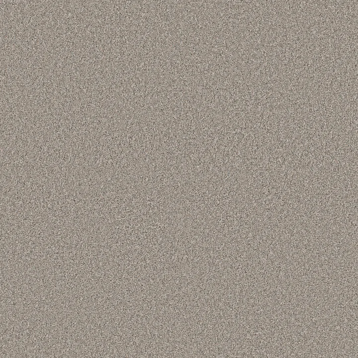 Shaw Floors Timeless Tone — Latte · 5E916-00700 — flooring selection with LeviArs Design & Remodeling