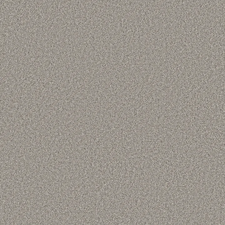Shaw Floors Timeless Tone — Magnetic · 5E916-00502 — flooring selection with LeviArs Design & Remodeling
