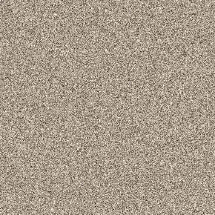 Shaw Floors Timeless Tone — Mirage · 5E916-00703 — flooring selection with LeviArs Design & Remodeling