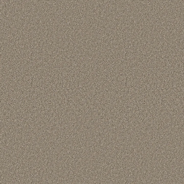 Shaw Floors Timeless Tone — Natural Stone · 5E916-00704 — flooring selection with LeviArs Design & Remodeling