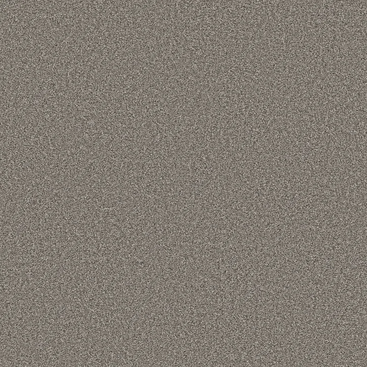 Shaw Floors Timeless Tone — Night Owl · 5E916-00750 — flooring selection with LeviArs Design & Remodeling