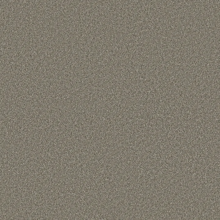 Shaw Floors Timeless Tone — Olive Tree · 5E916-00300 — flooring selection with LeviArs Design & Remodeling