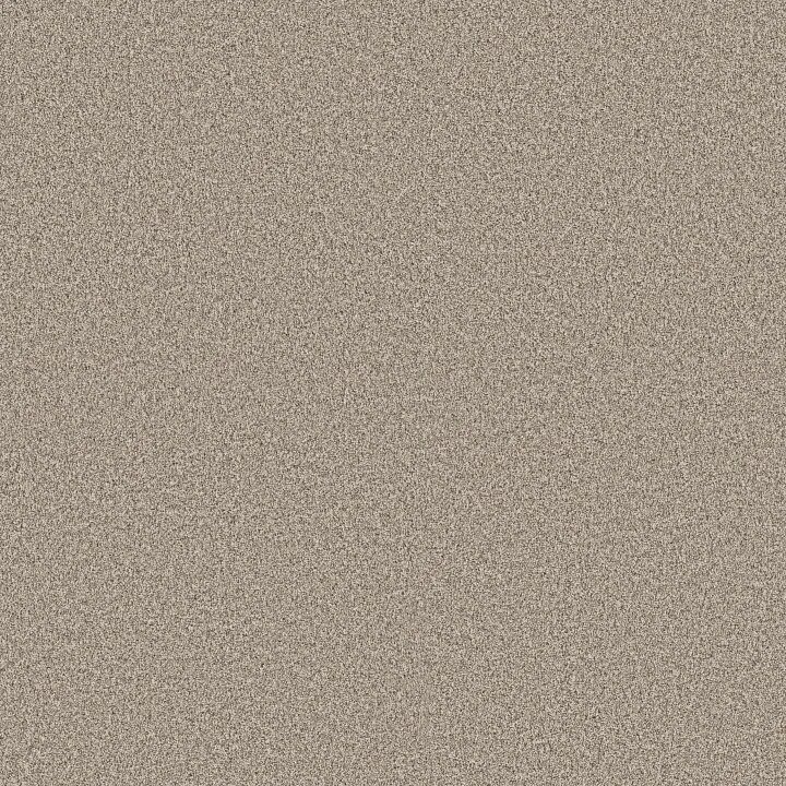 Shaw Floors Timeless Tone — Open Canyon · 5E916-00103 — flooring selection with LeviArs Design & Remodeling
