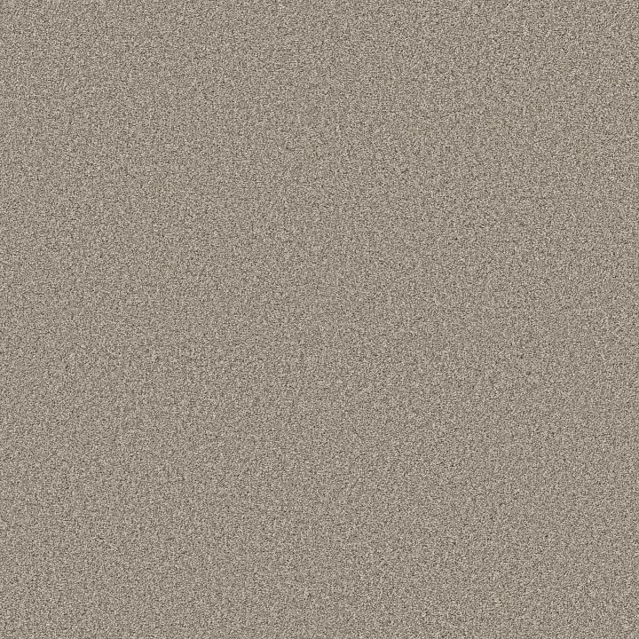 Shaw Floors Timeless Tone — Pebble Path · 5E916-00104 — flooring selection with LeviArs Design & Remodeling