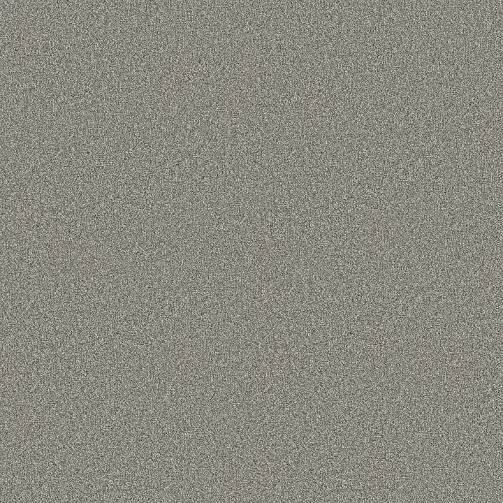 Shaw Floors Timeless Tone — Refreshing · 5E916-00301 — flooring selection with LeviArs Design & Remodeling