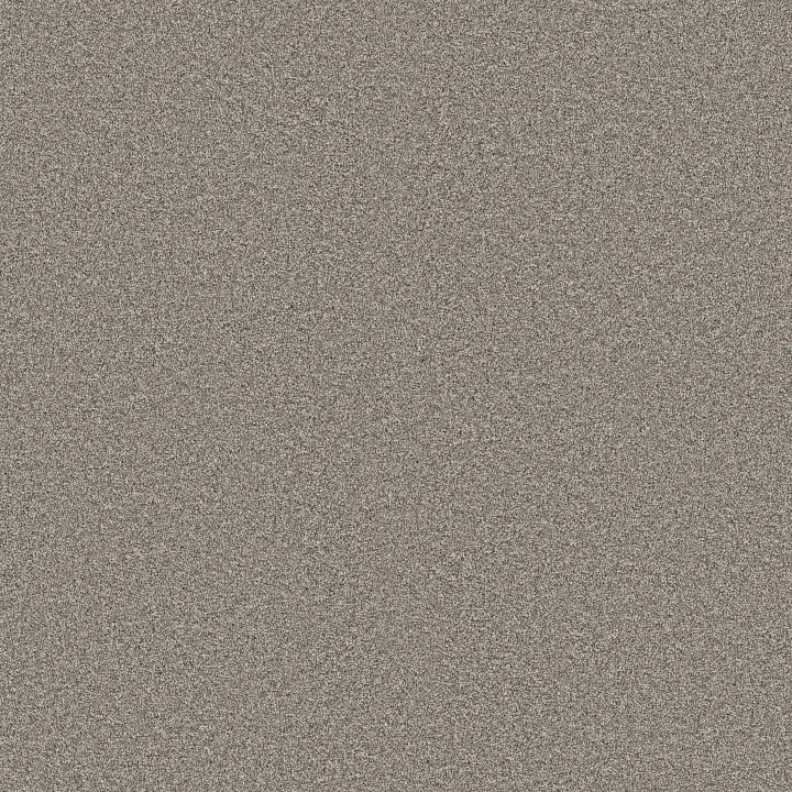 Shaw Floors Timeless Tone — Ridgeline · 5E916-00701 — flooring selection with LeviArs Design & Remodeling