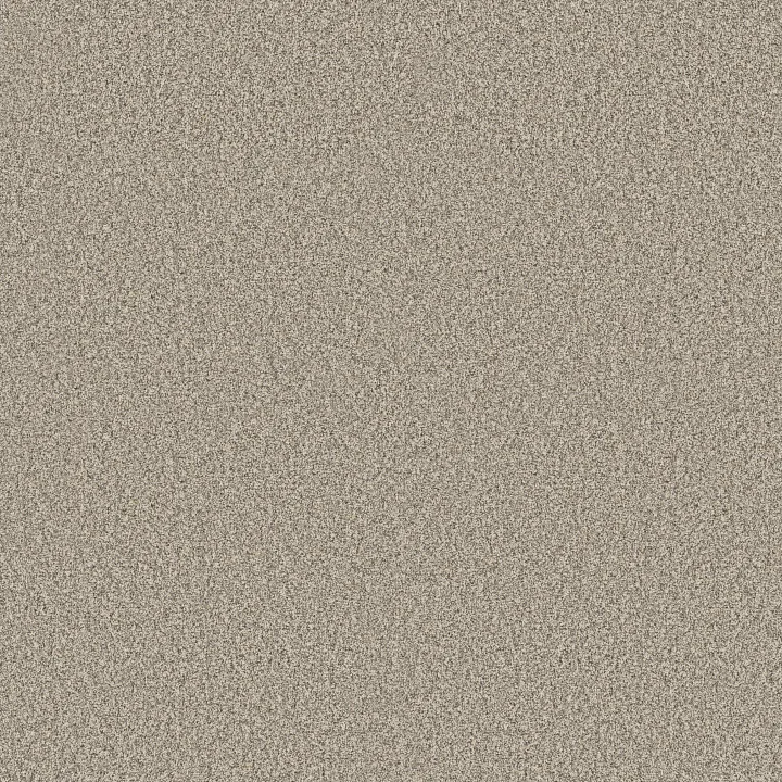 Shaw Floors Timeless Tone — Safari · 5E916-00110 — flooring selection with LeviArs Design & Remodeling