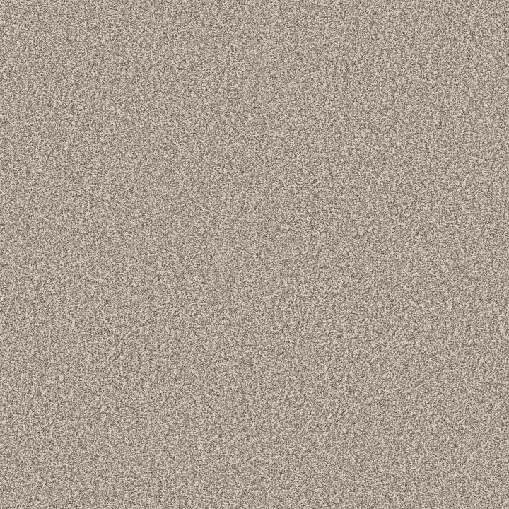 Shaw Floors Timeless Tone — Soft Sand · 5E916-00105 — flooring selection with LeviArs Design & Remodeling