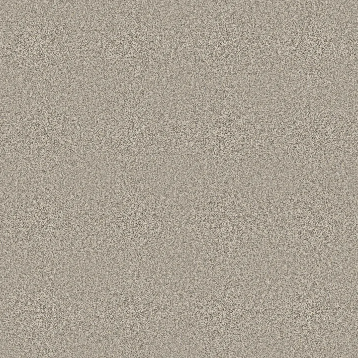 Shaw Floors Timeless Tone — Summertime · 5E916-00102 — flooring selection with LeviArs Design & Remodeling