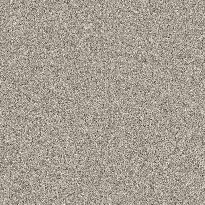 Shaw Floors Timeless Tone — Twilight Taupe · 5E916-00109 — flooring selection with LeviArs Design & Remodeling