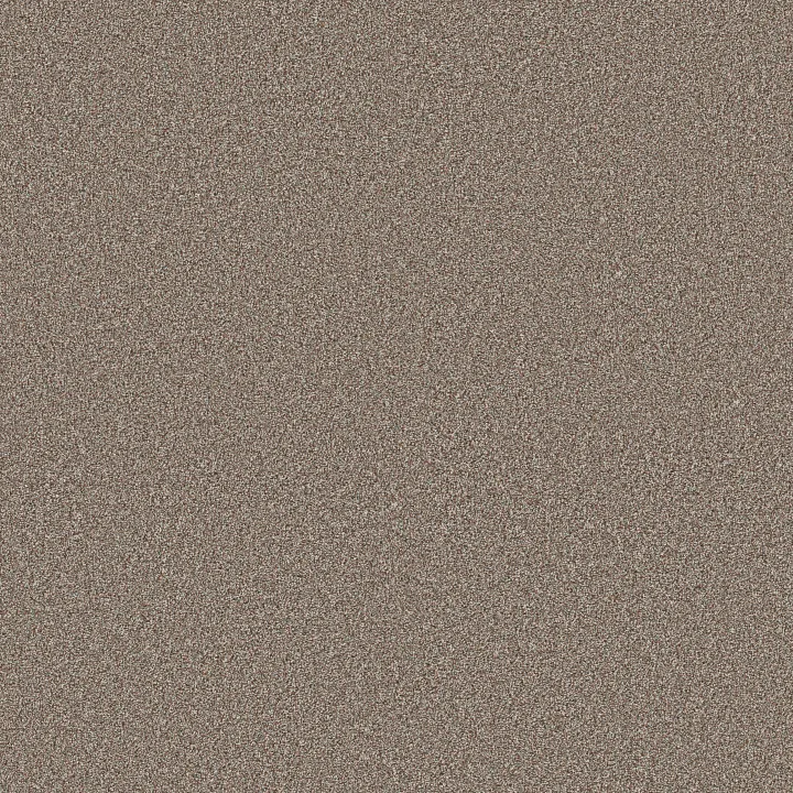 Shaw Floors Timeless Tone — Warm Sunset · 5E916-00801 — flooring selection with LeviArs Design & Remodeling