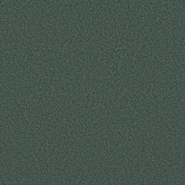 Shaw Floors Tonal Comfort II — Bold Moves · 5E657-00327 — flooring selection with LeviArs Design & Remodeling
