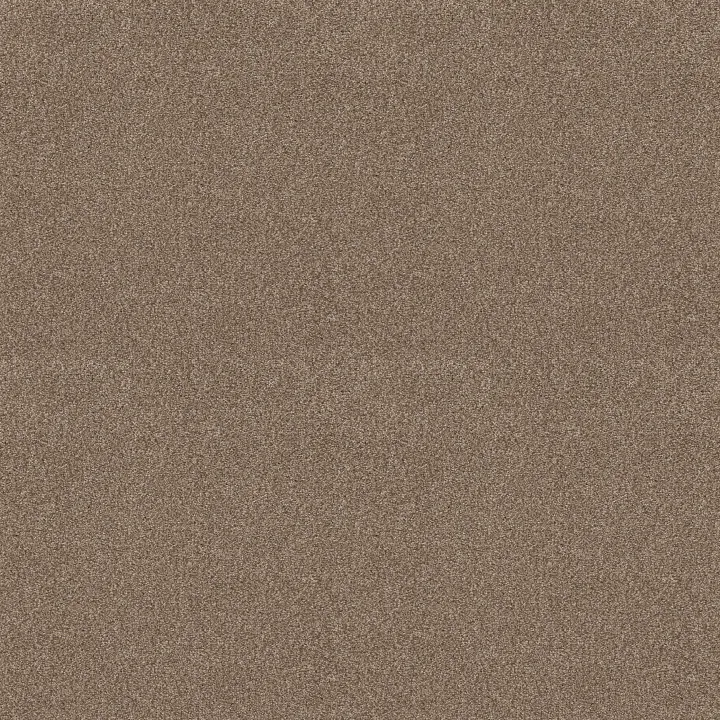 Shaw Floors Tonal Comfort Blue — Camping Trip · 5E658-00749 — flooring selection with LeviArs Design & Remodeling