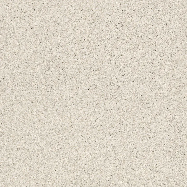 Shaw Floors Tonal Comfort Blue — Champagne Toast · 5E658-00153 — flooring selection with LeviArs Design & Remodeling