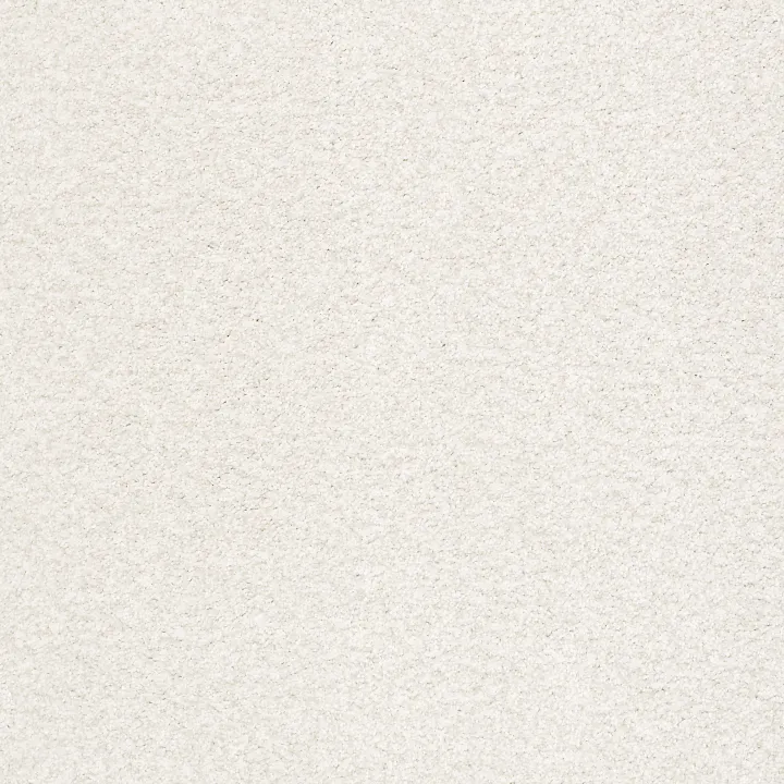 Shaw Floors Tonal Comfort Blue — Clean Linen · 5E658-00122 — flooring selection with LeviArs Design & Remodeling