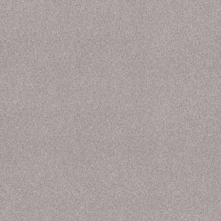 Shaw Floors Tonal Comfort Blue — Dreamy · 5E658-00537 — flooring selection with LeviArs Design & Remodeling
