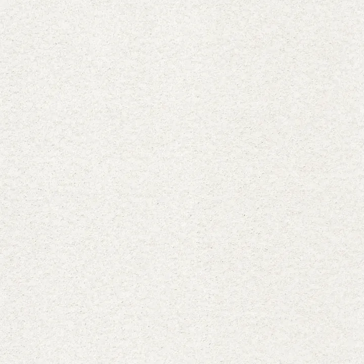 Shaw Floors Tonal Comfort Blue — Gallery Opening · 5E658-00125 — flooring selection with LeviArs Design & Remodeling