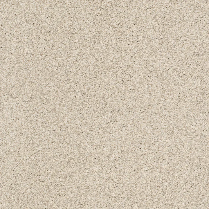 Shaw Floors Tonal Comfort Blue — Happy Place · 5E658-00123 — flooring selection with LeviArs Design & Remodeling