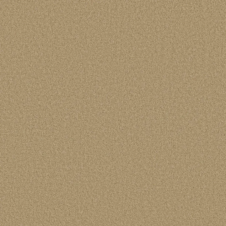 Shaw Floors Tonal Comfort II — Hello Sunshine · 5E657-00224 — flooring selection with LeviArs Design & Remodeling